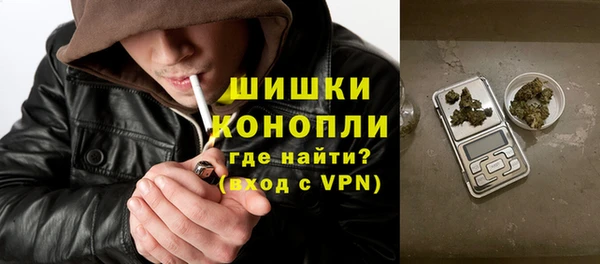 ГАЛЛЮЦИНОГЕННЫЕ ГРИБЫ Дмитров