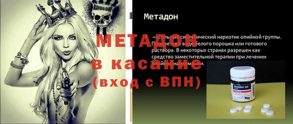 индика Ельня