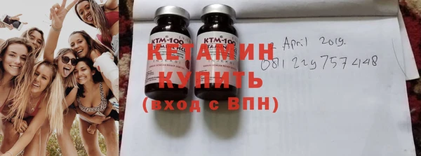 индика Ельня