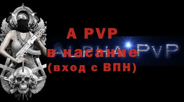 индика Ельня