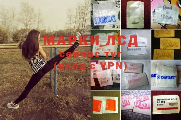 спайс Елабуга