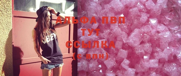 индика Ельня