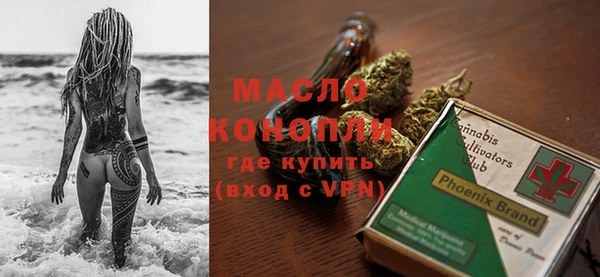индика Ельня