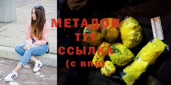 индика Ельня