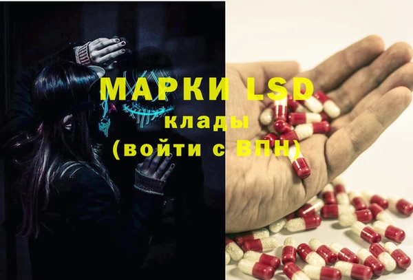 индика Ельня