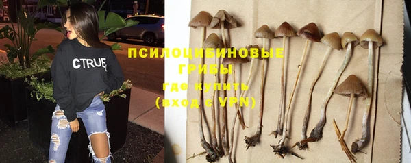 каннабис Елизово