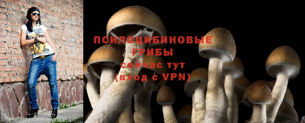 героин Дмитриев