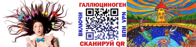 Псилоцибиновые грибы Psilocybine cubensis  Красногорск 